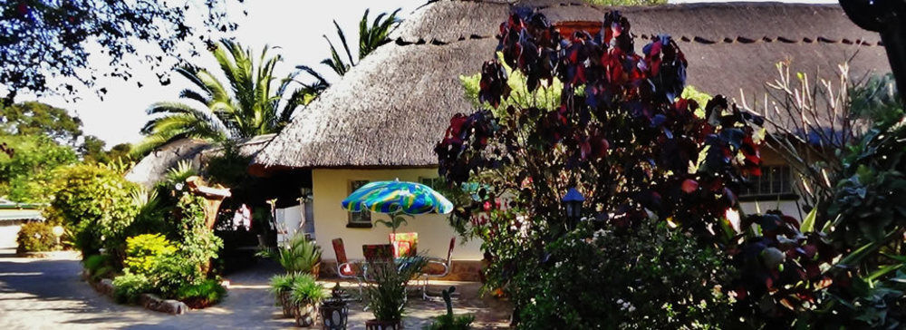 Parrot Lodge Bulawayo Dış mekan fotoğraf