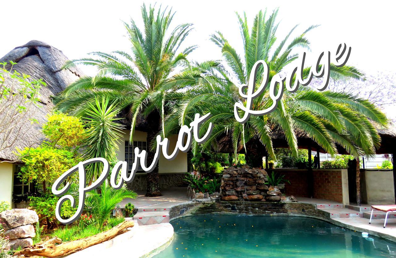 Parrot Lodge Bulawayo Dış mekan fotoğraf